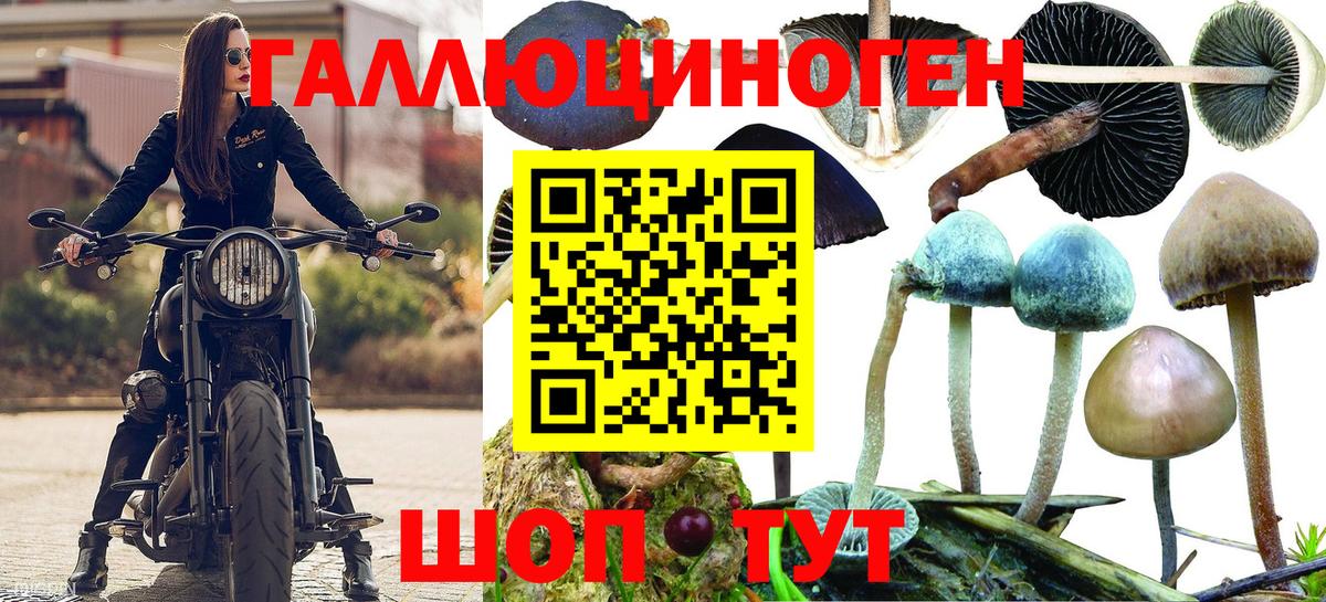 Галлюциногенные грибы прущие грибы Людиново