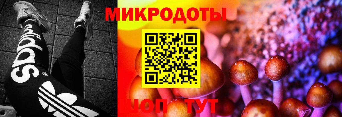 Галлюциногенные грибы GOLDEN TEACHER  Вход с VPN  Людиново  Псилоцибиновые грибы Psilocybine cubensis 